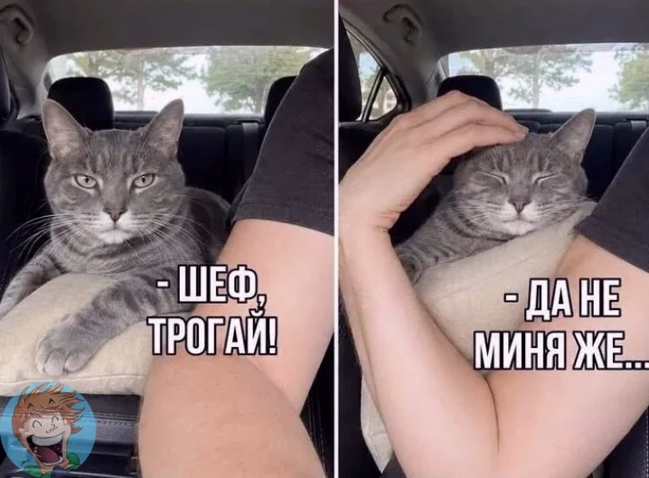 КуЗьМа в ТеМе