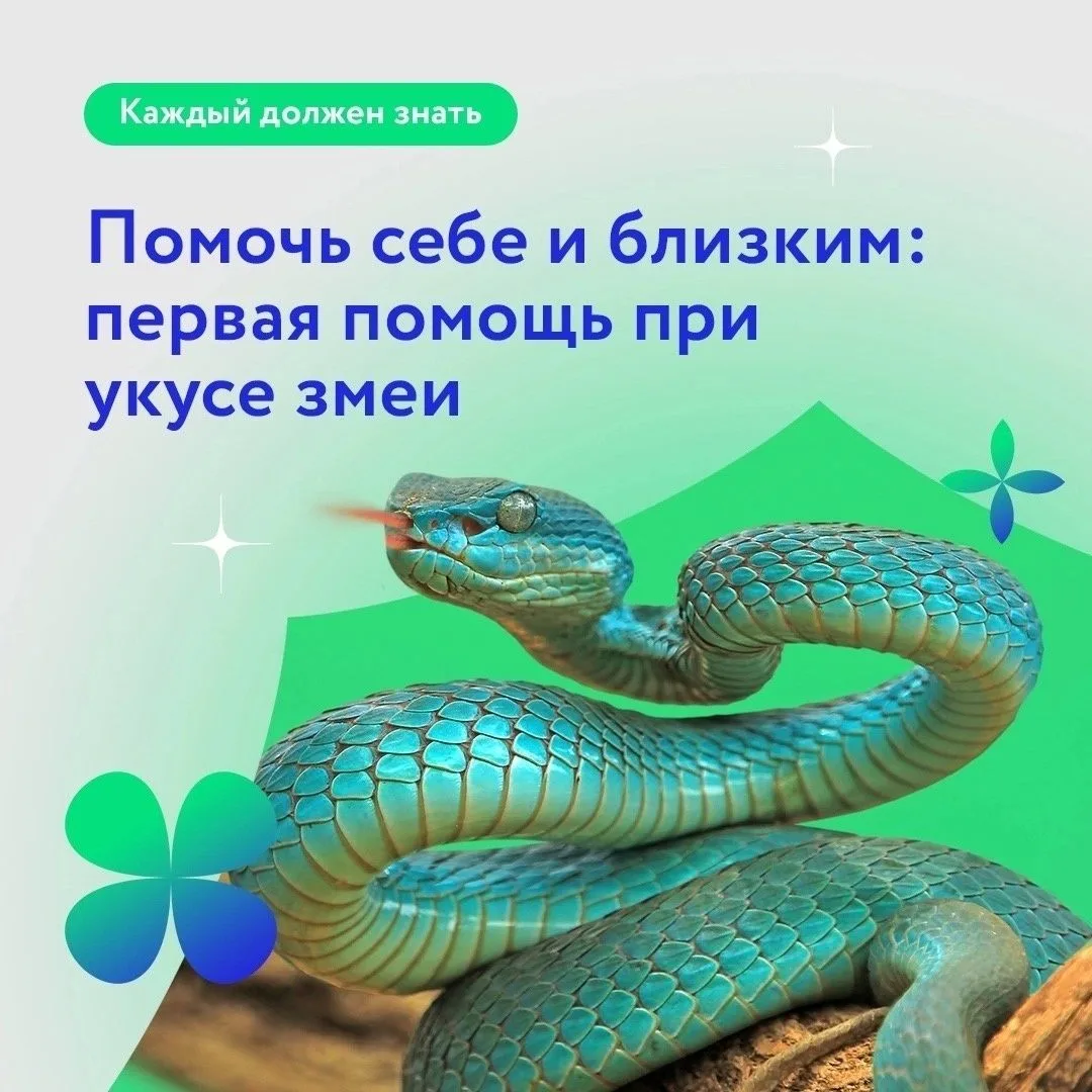 По данным СМИ, за неделю в Липецкую областную детскую больницу поступили двое подростко...