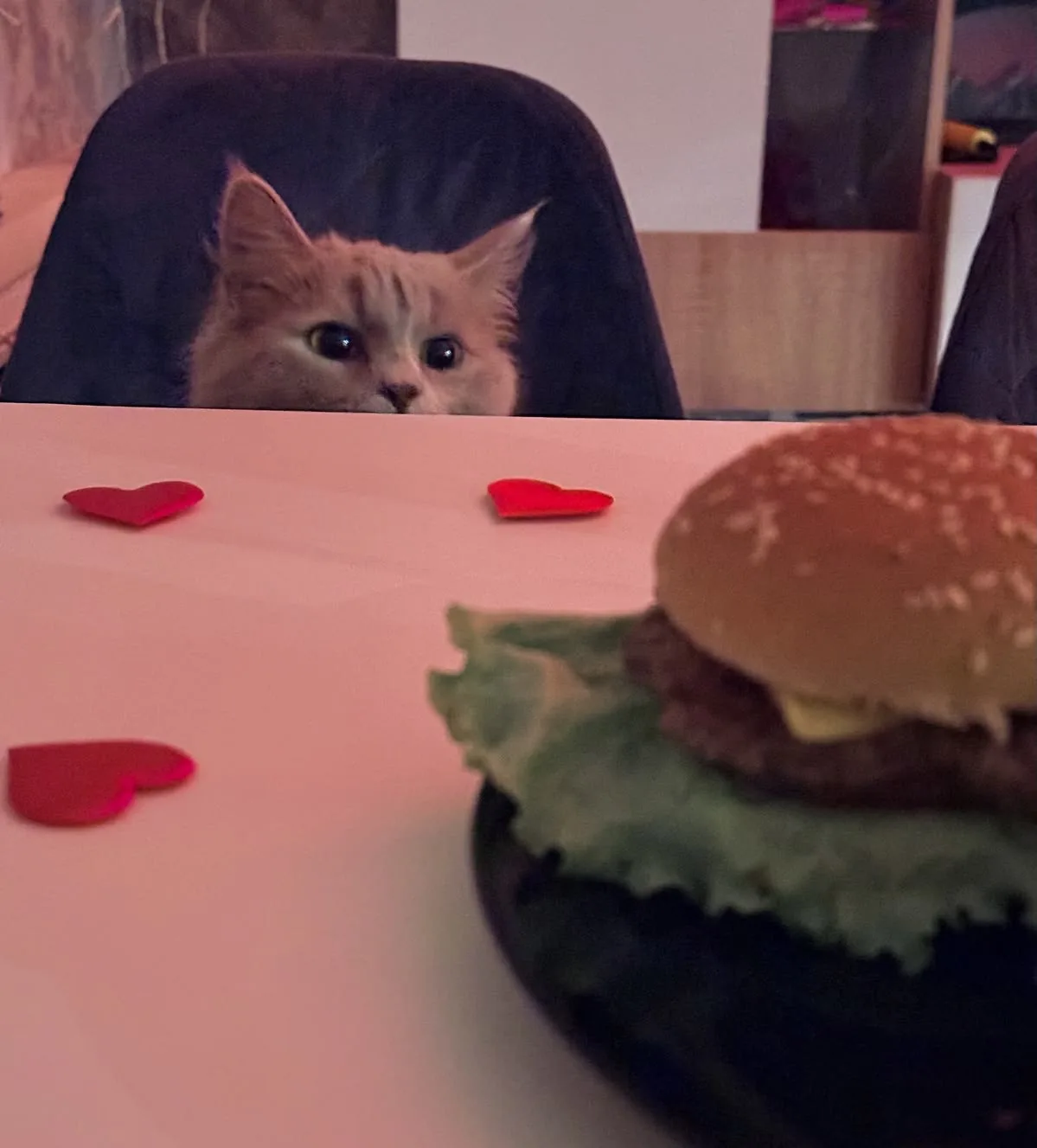 🍔 День рождения гамбургера отмечают сегодня

Побалуйте себя и близких @spbtoday