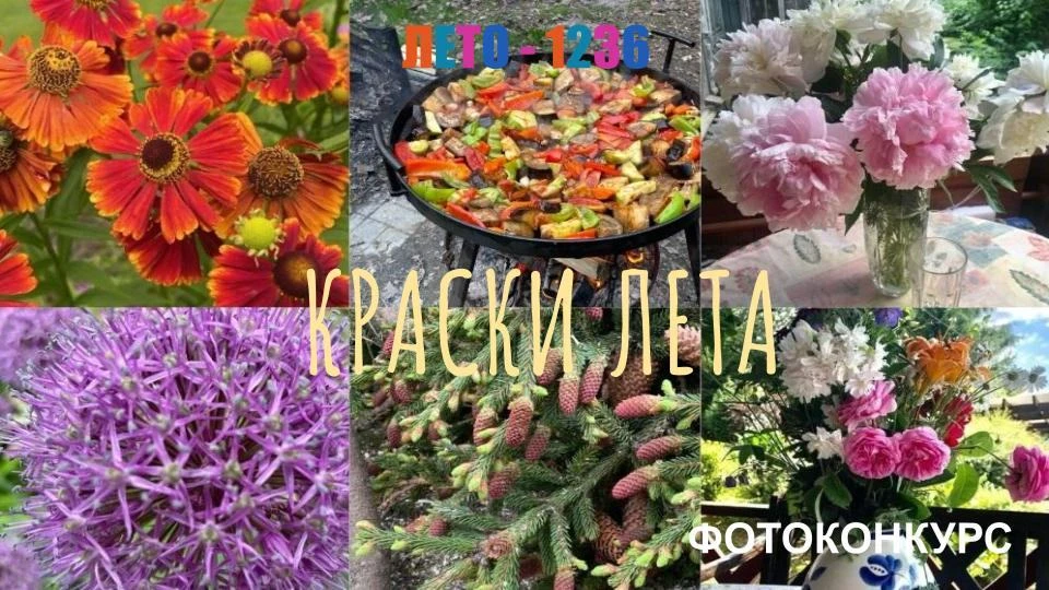 ☀️Наш фотоконкурс «ЛЕТО-1236» продолжается. Объявляем тему этой недели –
 
«КРАСКИ ЛЕТА»


Зима у на