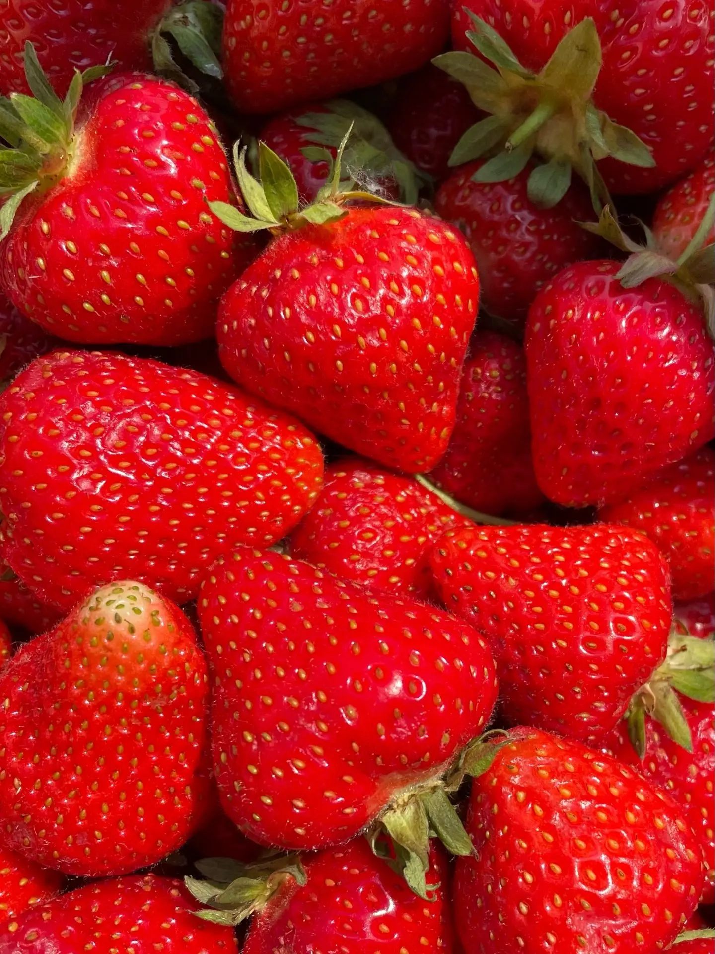 Доброе утро!🌈🍓 
Раздача началась! 

Малины в свободной продаже нет!