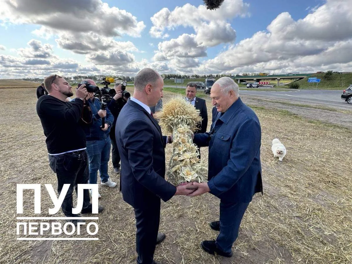 🔥У Мінскай вобласці ўжо намалацілі 2️⃣ мільёны тон збожжа.