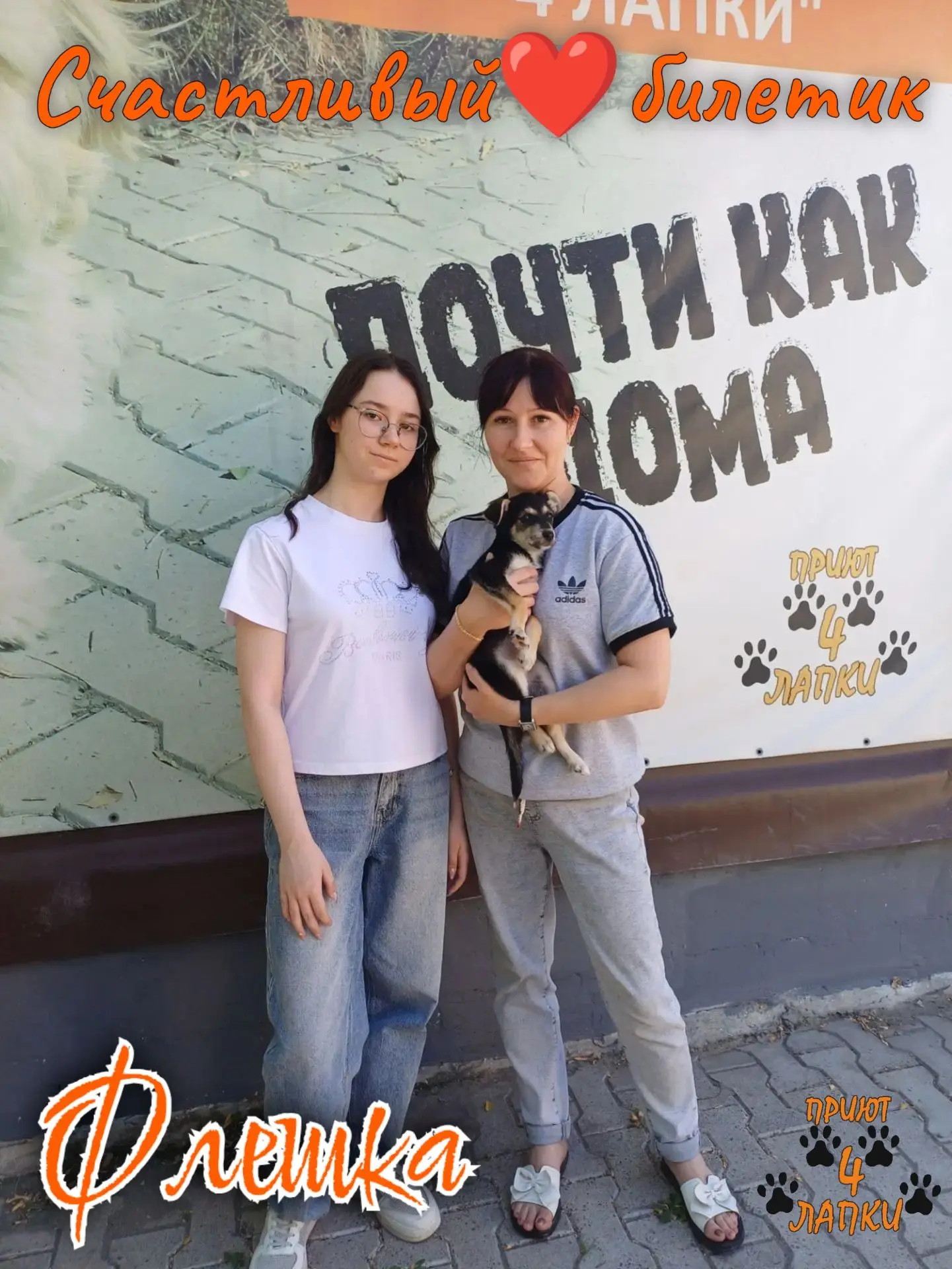 Помните щенков, которых нам подкинули в коробке под приют?