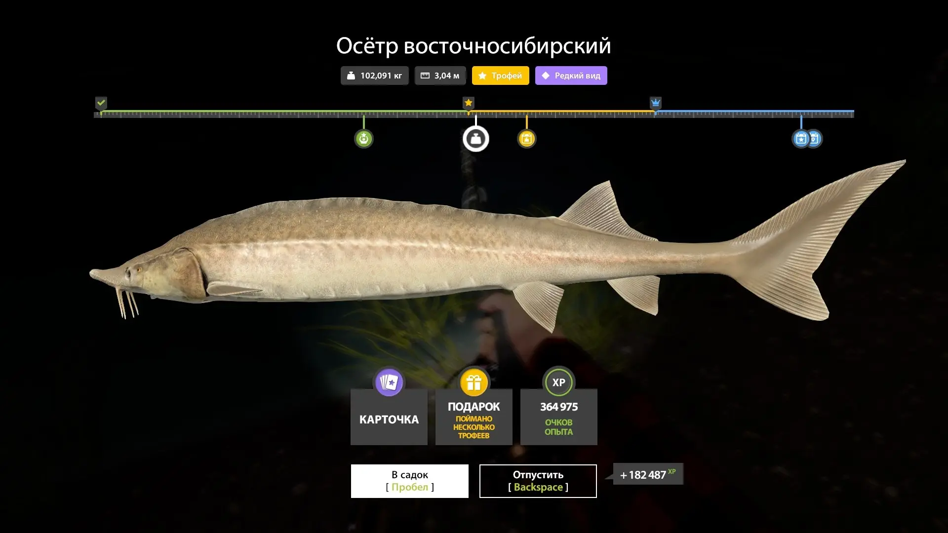 #тунгуска