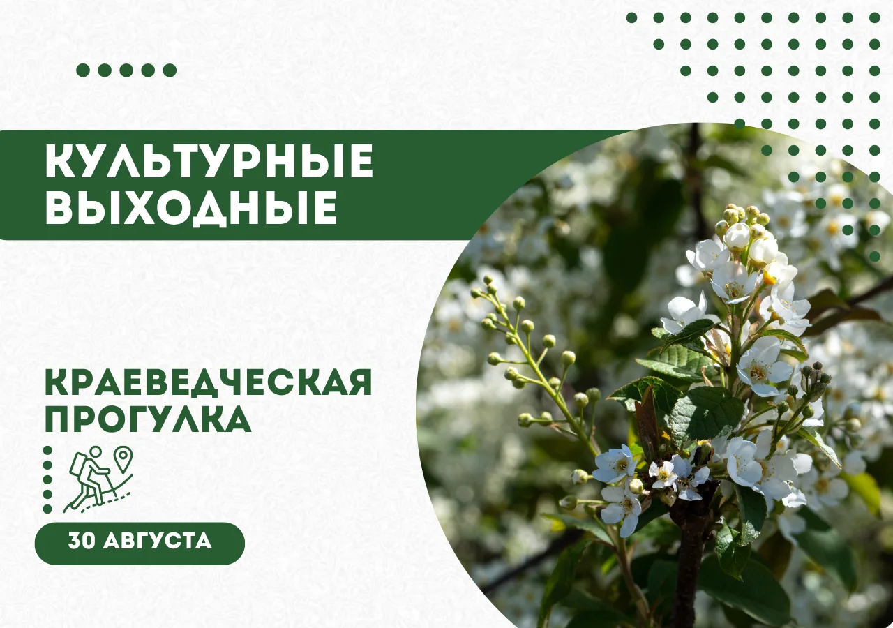 🏠 Живём в режиме активного лета
