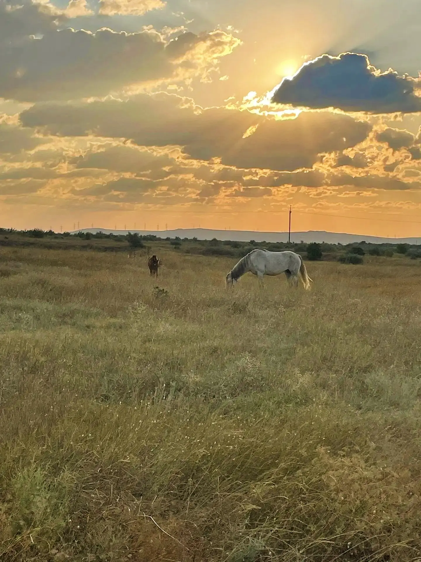 🌾У Симеона Афонского есть замечательная фраза:"Если не увидишь мир с высоты вечности с...
