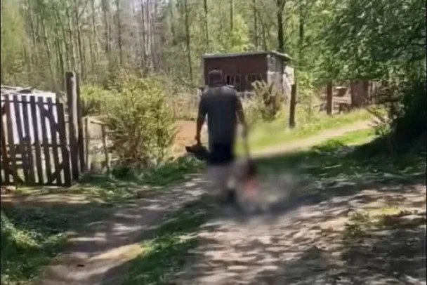 Дело об убийстве собаки с отрезанной головой под Выборгом отменили