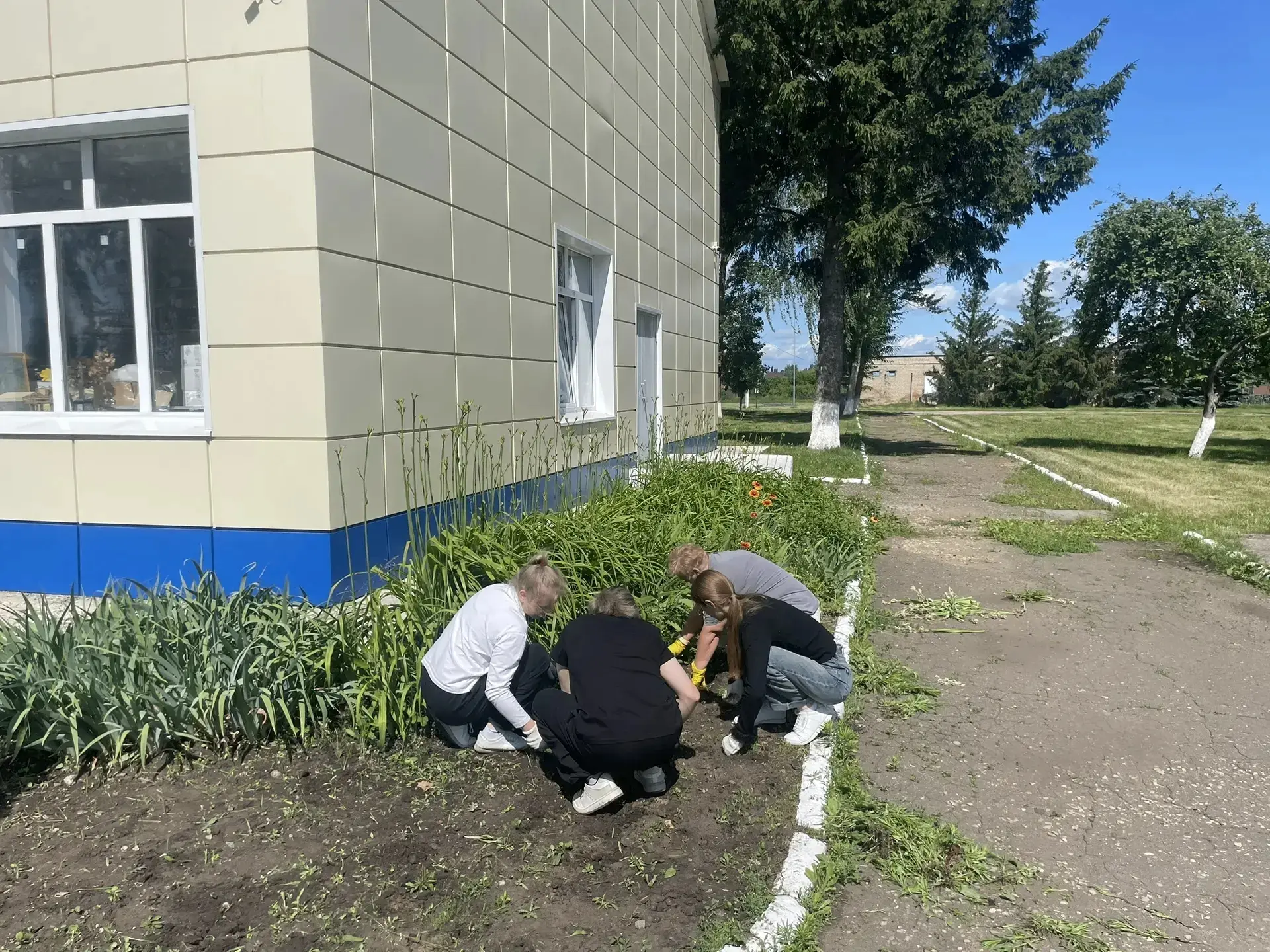 В промежутках между экзаменами выпускники 11 класса помогают родной школе в благоустройстве. По свое