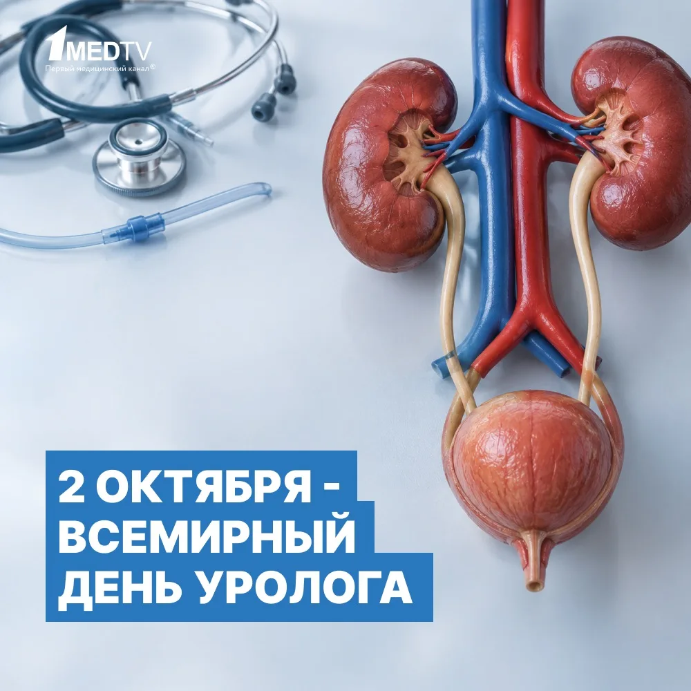 Коллеги, с Днем уролога!