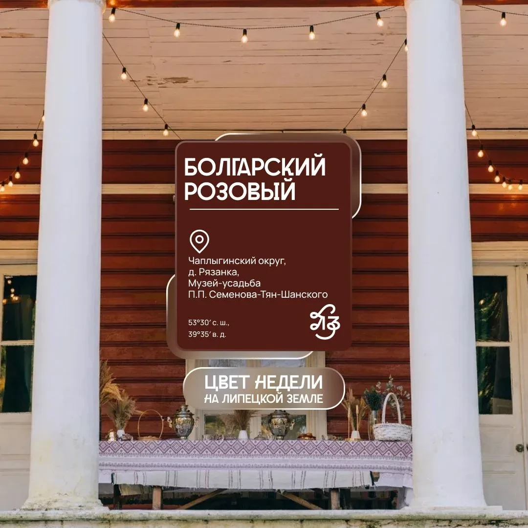 🤎 Цвет недели — болгарский розовый