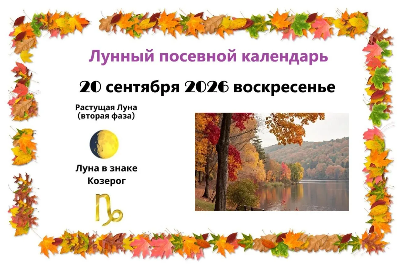 2️⃣0️⃣ сентября, воскресенье