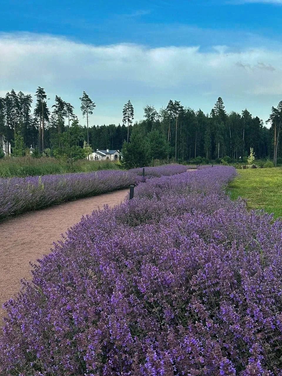 Новый парк в Мытищах 🌳

Территория огромная, ухоженная, с аккуратным газоном, по которому приятно х
