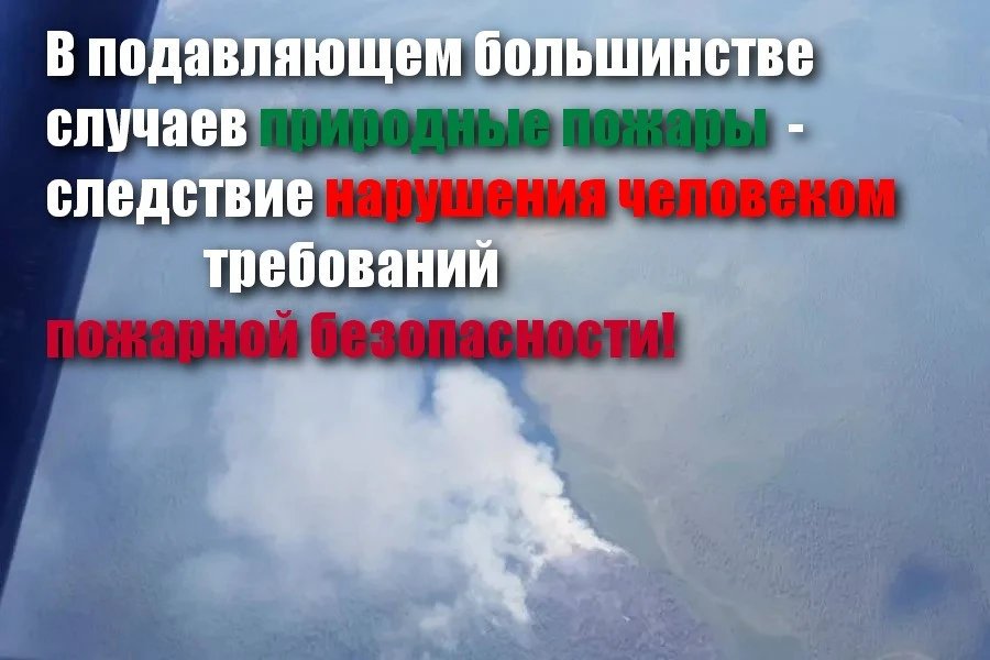 ЛЕСНЫЕ ПОЖАРЫ оказывают разрушительное воздействие на древостой, загрязняют атмосферу и воду продукт