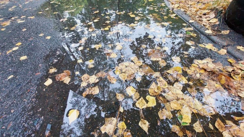 Погода в выходные в Курской области: воскресный дождь и до +20