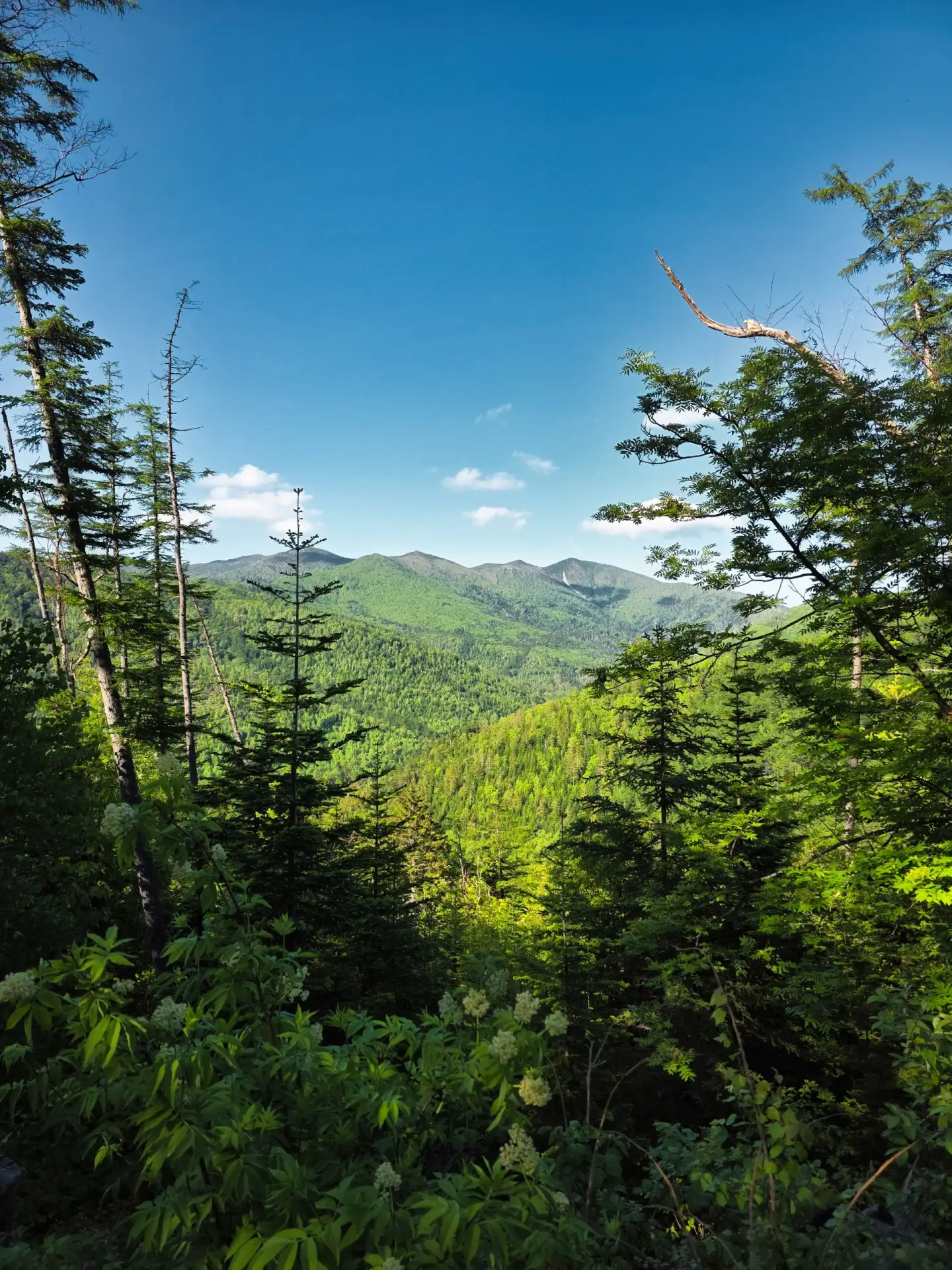🏔 Северный склон горы Большевик 

📸 Art Iv