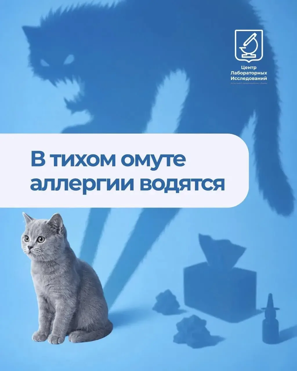 Каждый четвёртый человек в мире реагирует на кошек — слезятся глаза, закладывает нос, п...