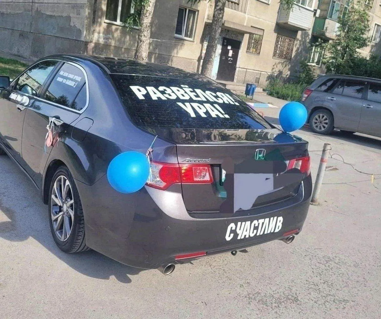 😁 Кажется, сегодня у кого-то настоящий праздник