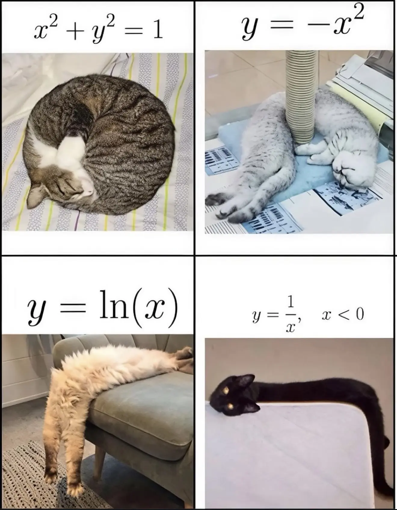 мяу
