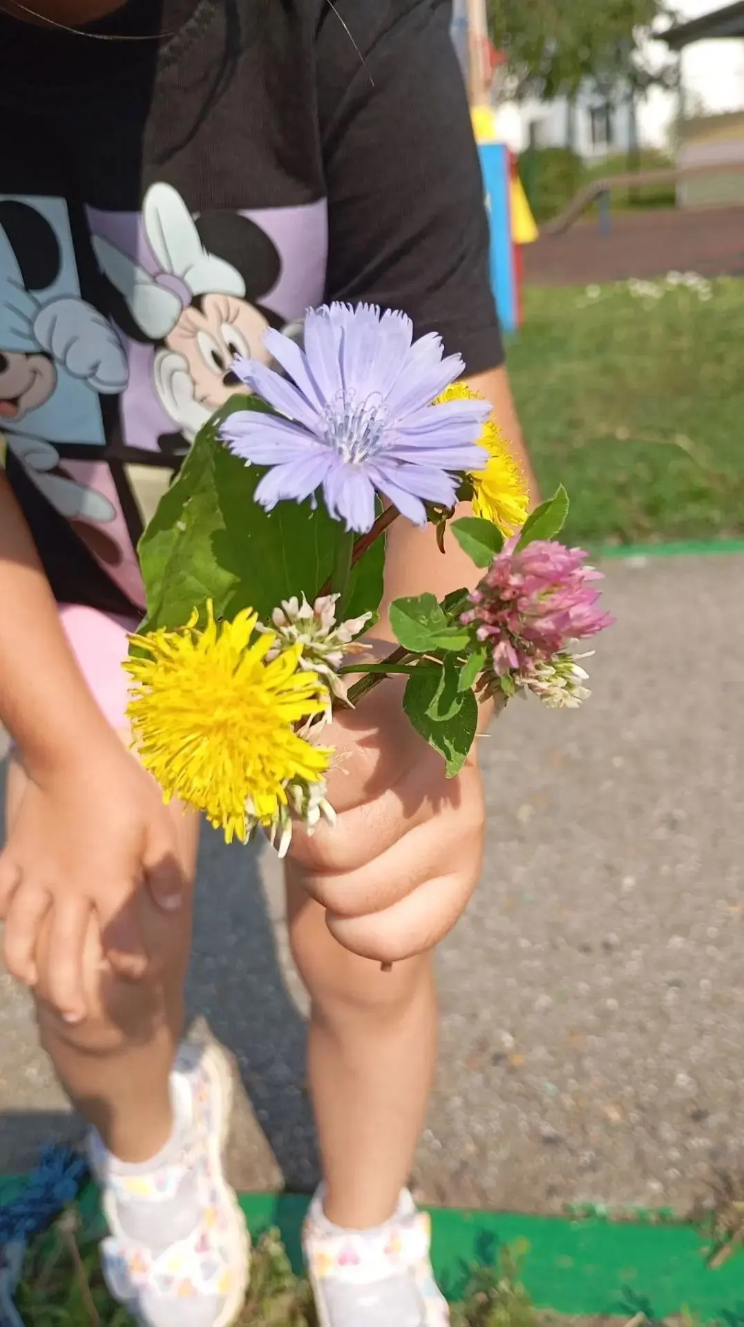 🌿 День лекарственных растений в нашем детском саду!
Знаете ли вы, что у нас под ногами растет самая