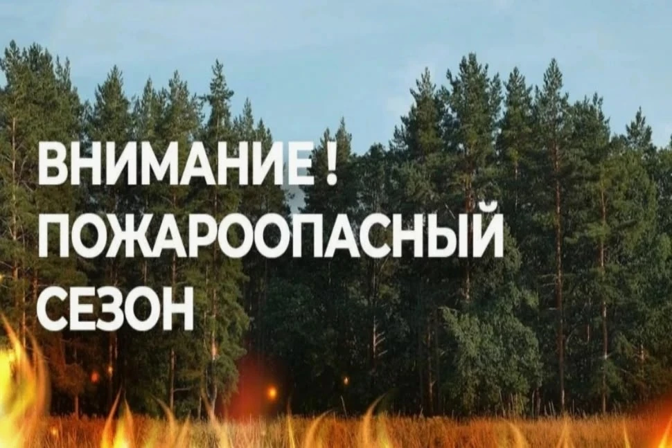 Согласно Приказа № 149-осн от 10.04.2026 г. Министерства лесного хозяйства Республики Т...