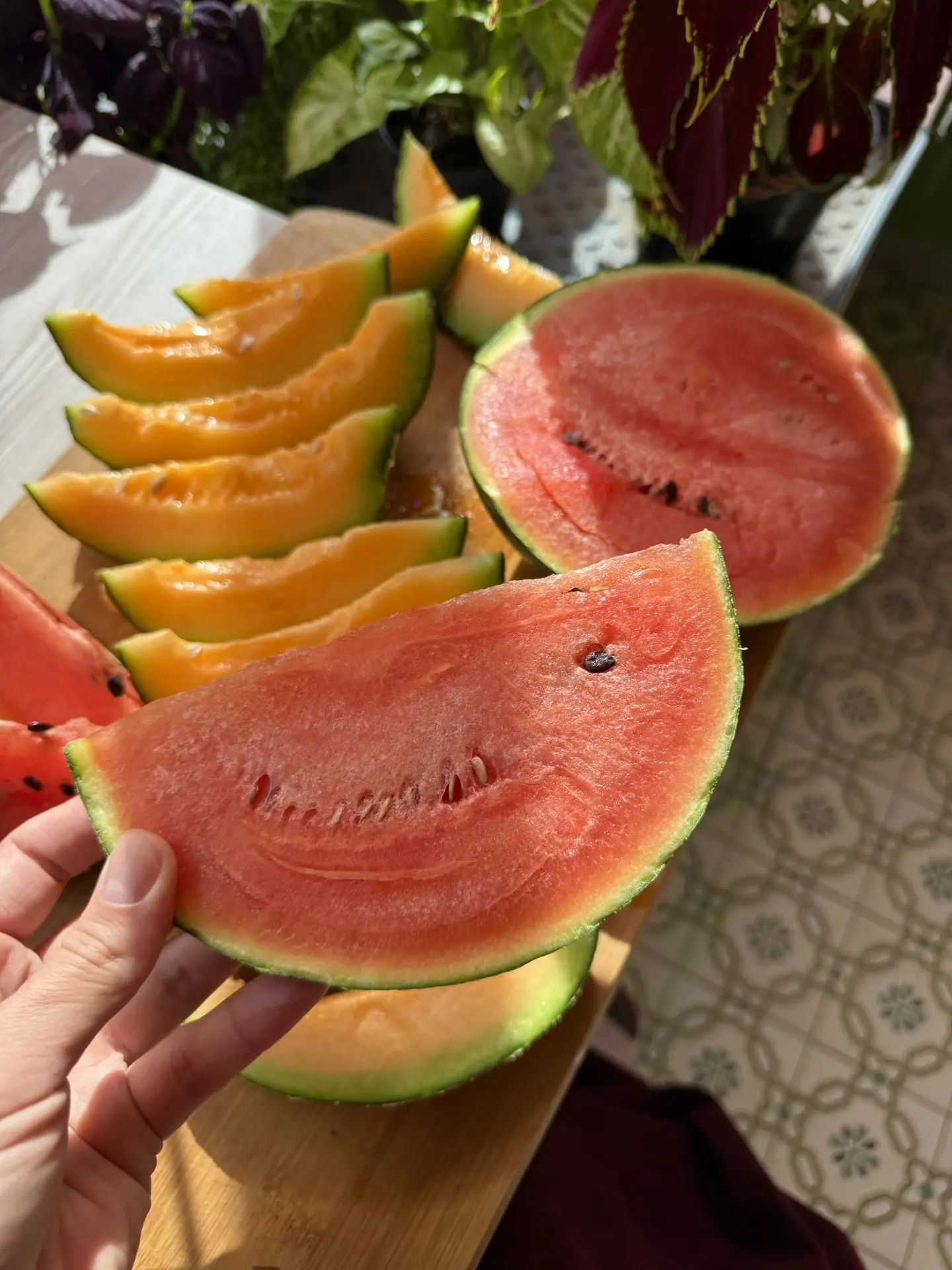 Распаковка арбузов и дынь собственновыращенных 🍉 Ярко, вкусно и красиво. Всем доброго ...