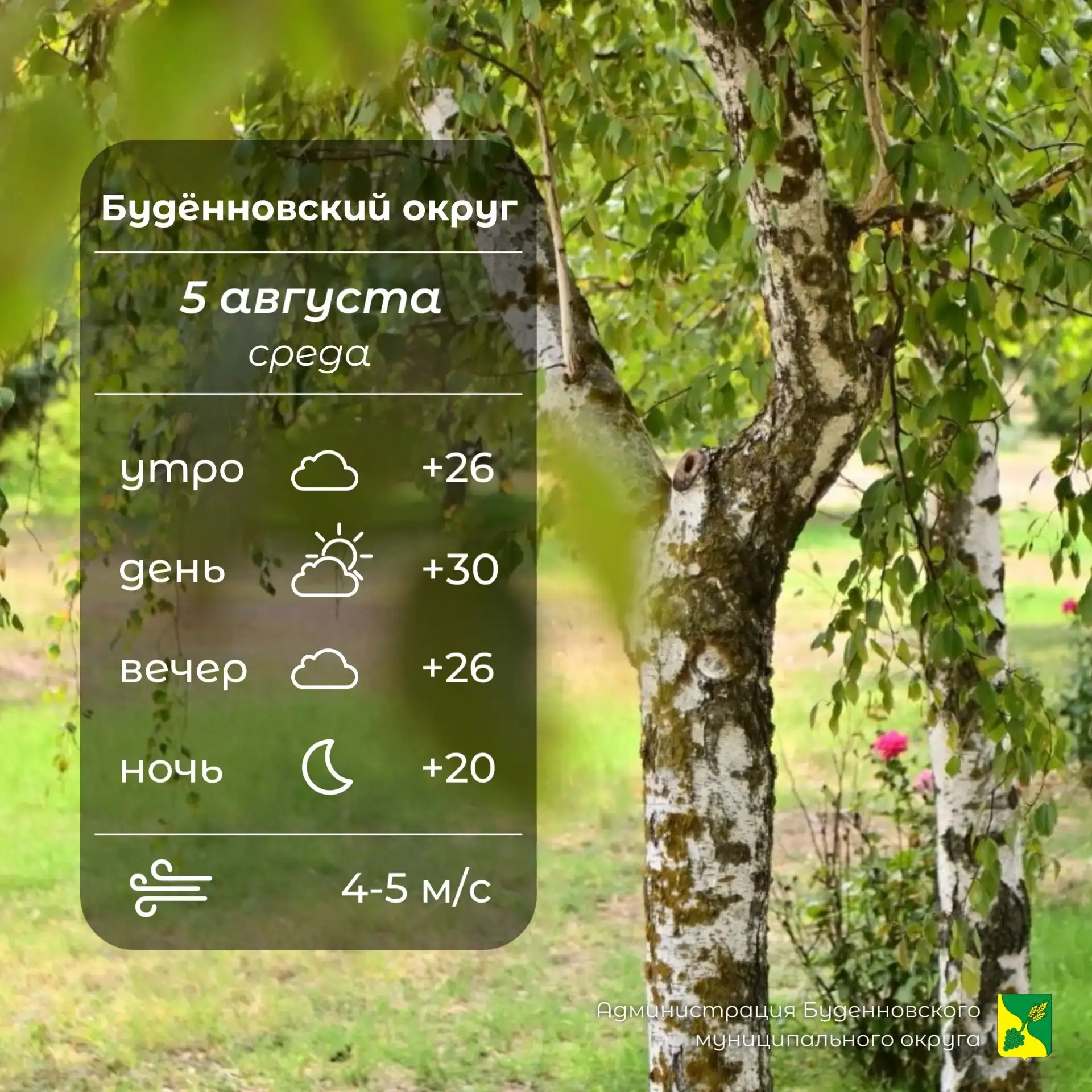 ☁️Сегодня в Буденновском округе пасмурно, без осадков. Температура воздуха +20…⁠+30°. В...