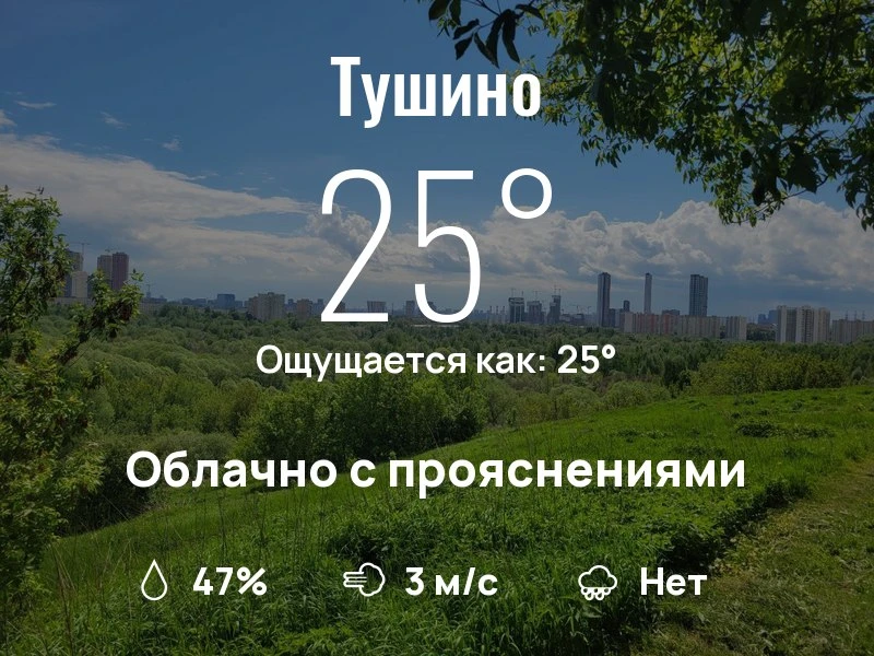Что с погодой в Тушино?