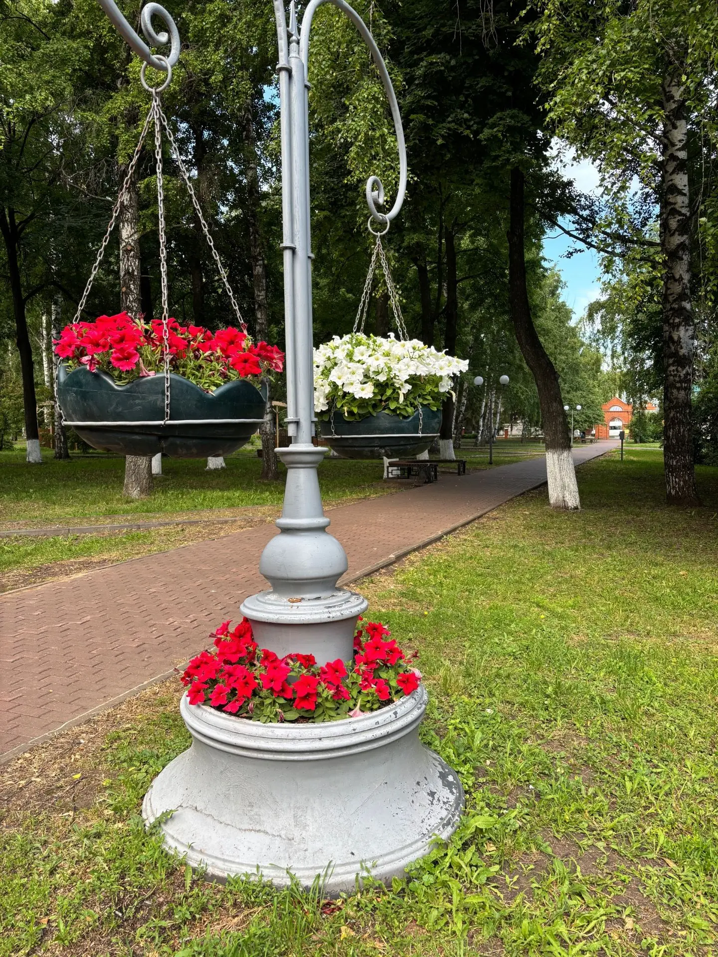 Солнечного утра! 🌞
На календаре — пятница, 19 июня. Впереди выходные, а это значит, что пора настро