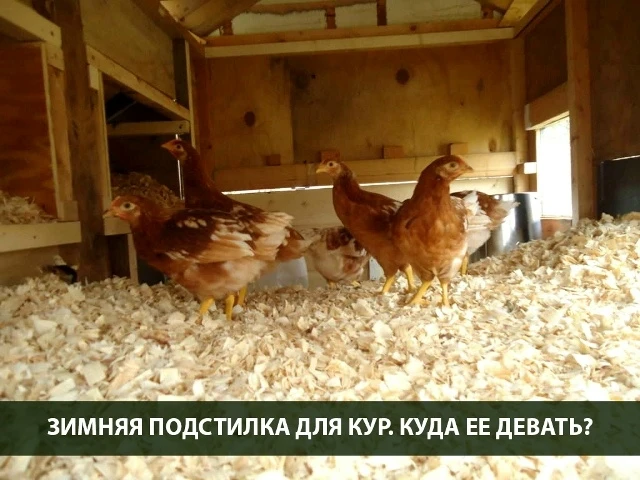 Зимняя подстилка, куда её девать? 👇🏻
