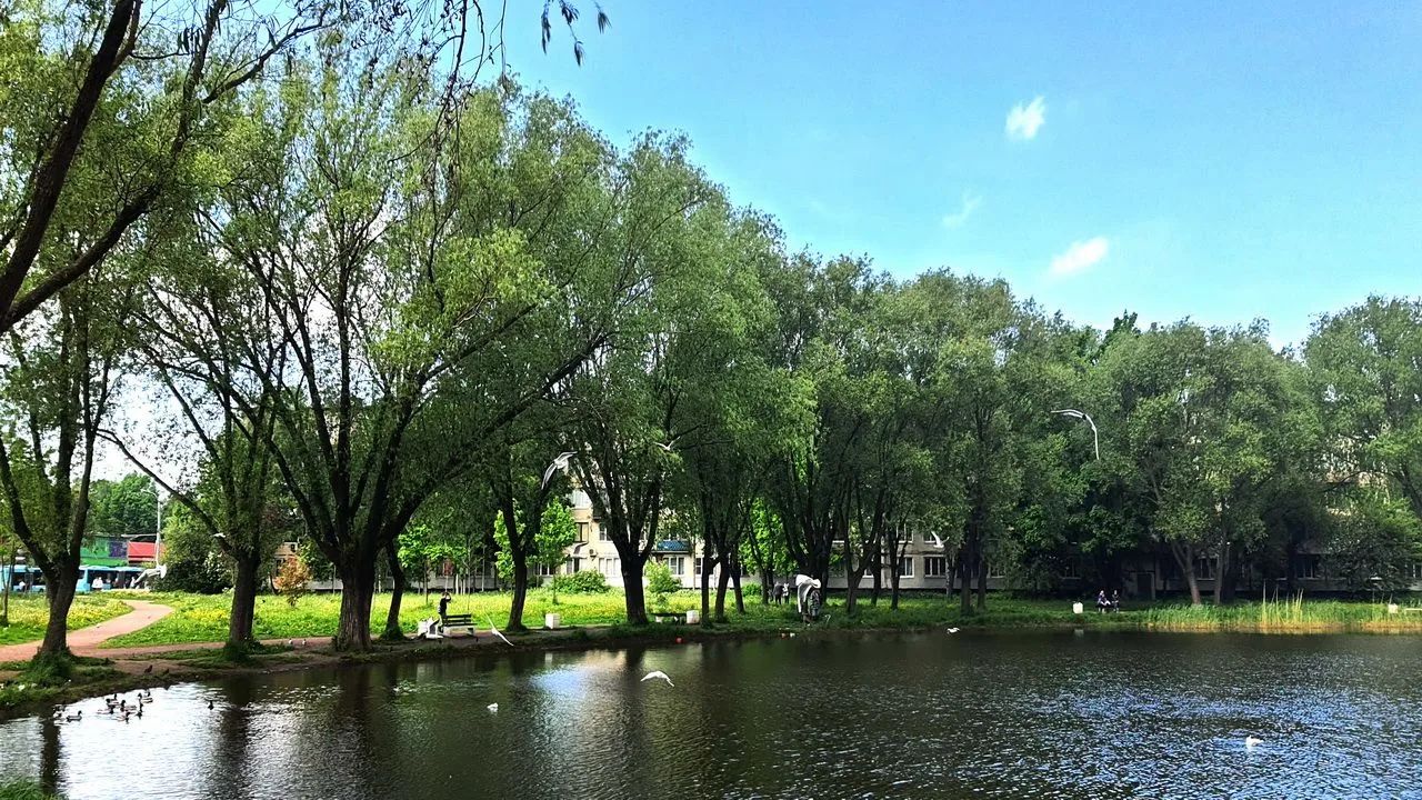 В продаже 3-х комнатная квартира 62 м2 с кухней 10 м2 на 7 этаже с балконом. В 5 минута...