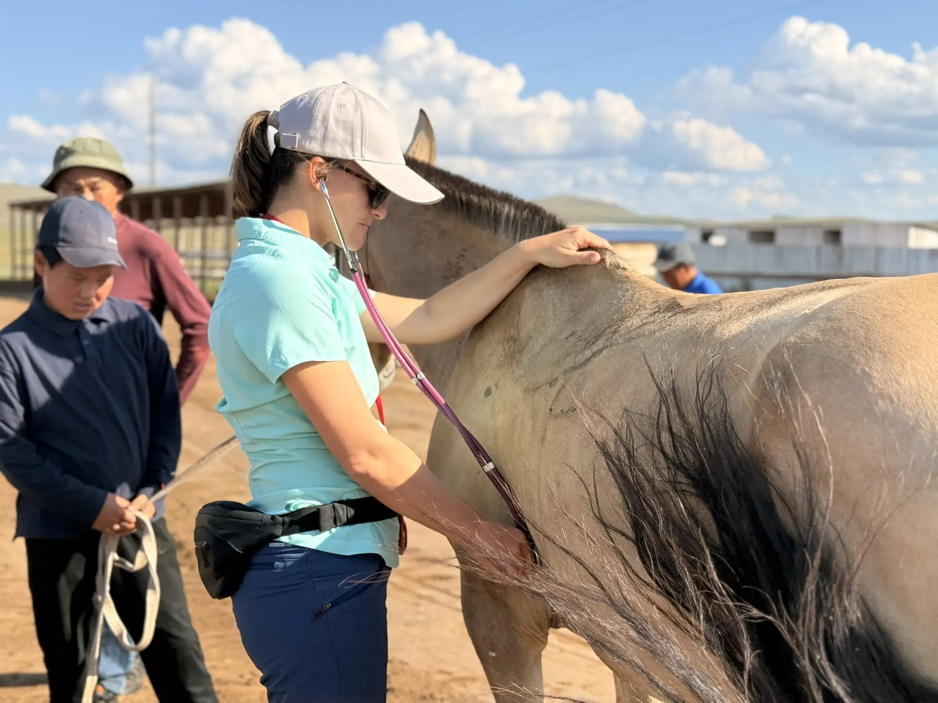 🐎🔬Завтра на ипподроме Янгажинского дацана стартует «Чемпионат Евразии по дистанционны...