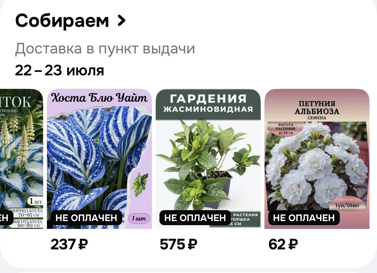 Когда спросите, где новые видео о ремонте, я скажу, что была занята - цветочки на озоне...