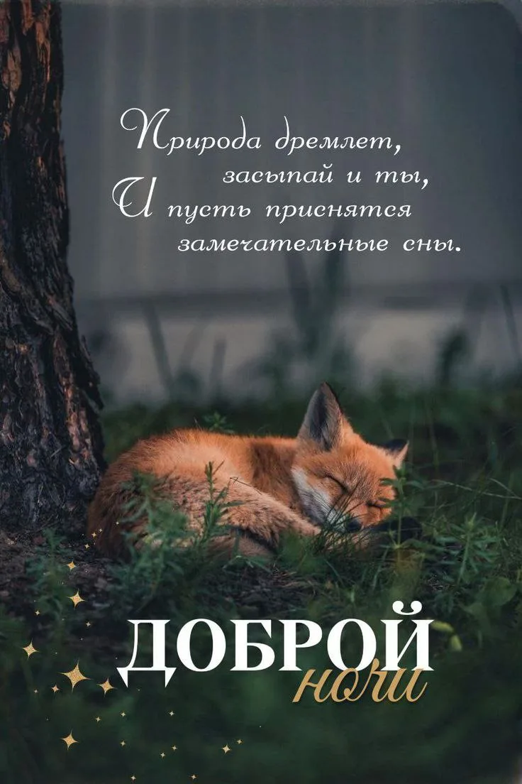 Сон крадётся по подушке,