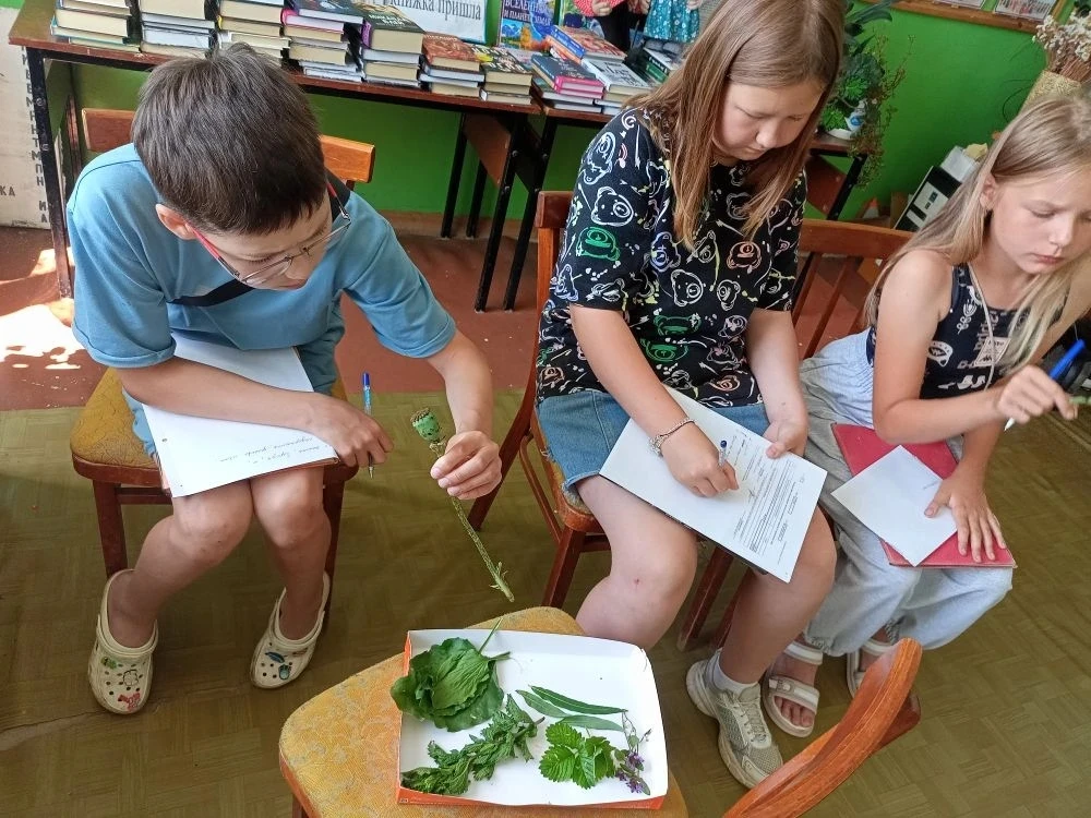 #БиблиотекаШишовка