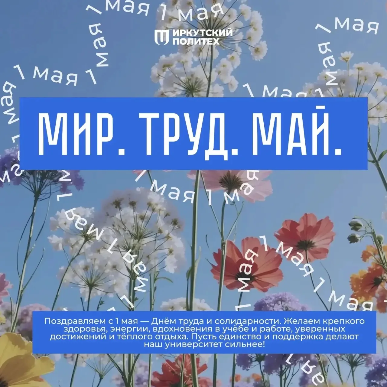 С Днем Весны и Труда, политеховцы! 🌸