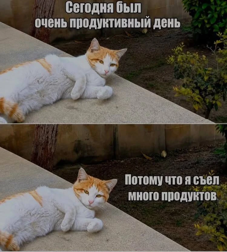 Наш канал ЛУЧИК РАДОСТИ ✨