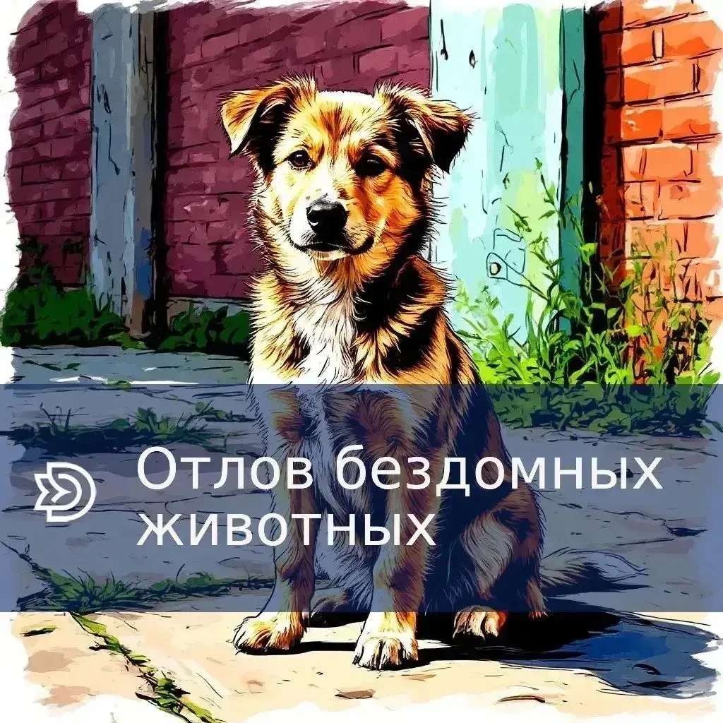 🐾 Отлов бездомных животных

В Динском районе будет организован отлов бездомных собак.

⚪️ 18 июня 2