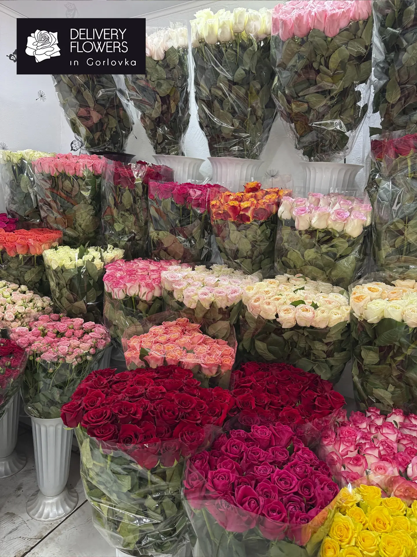 🌹 Свежие розы и спрей-розы