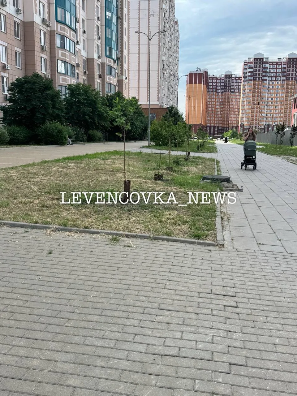 Левенцовка благодаря соседям через время будет зеленой 🫶

Левенцовка в max