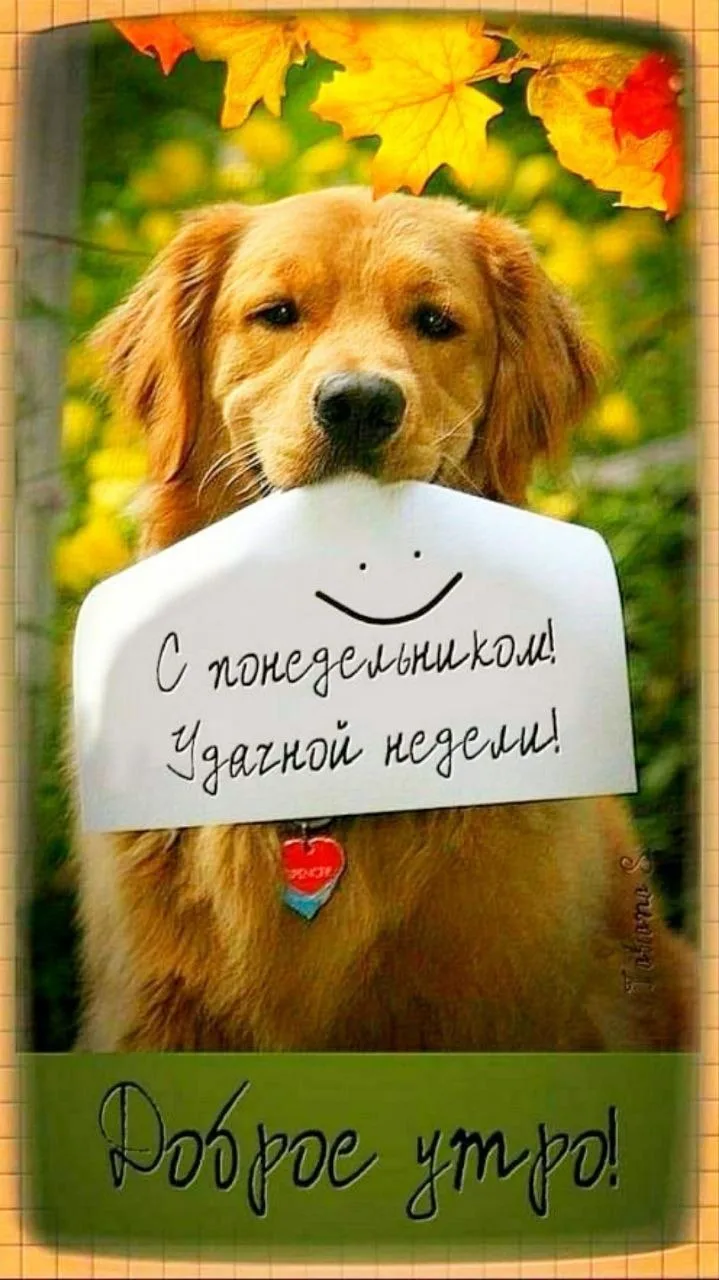 Подписаться на Привет Пипл!