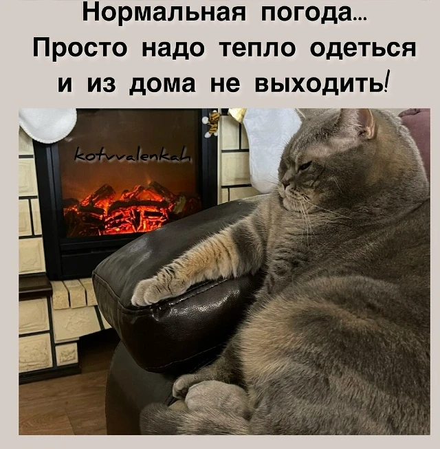 Похоже, живём мы всё-таки в самом правильном климате 😄