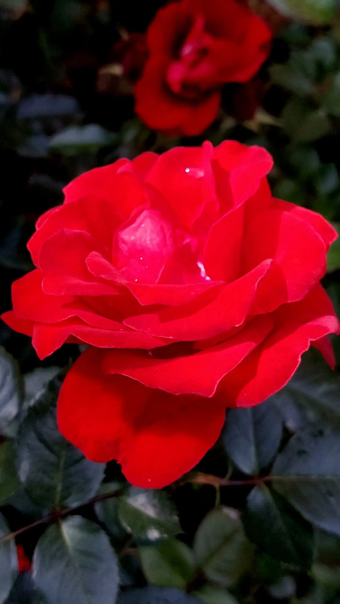 Фото