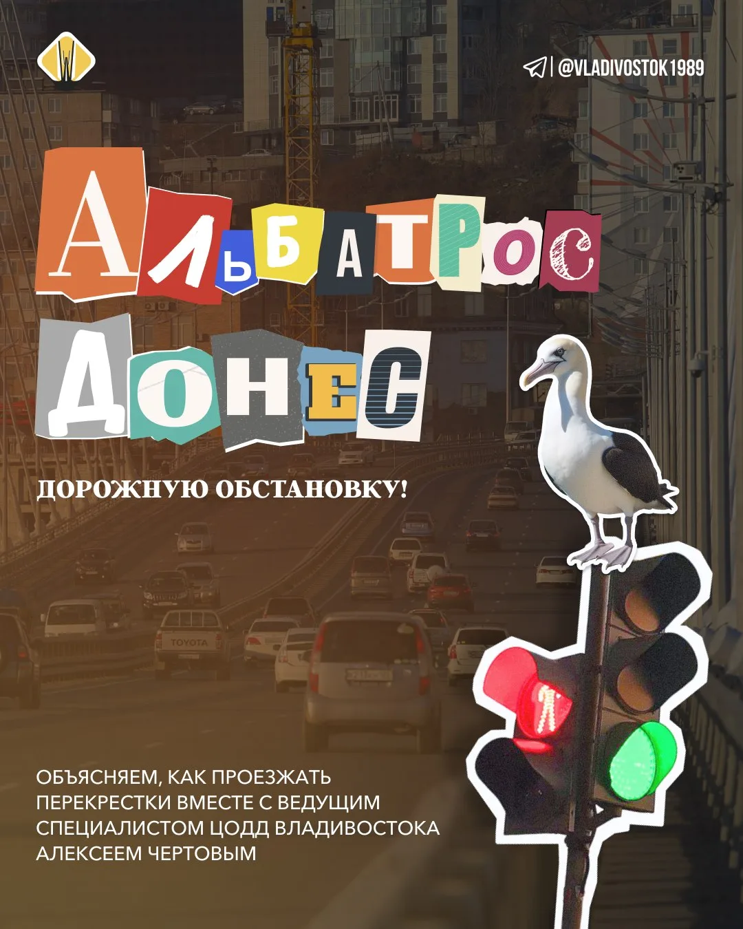АЛЬБАТРОС ДОНЁС.