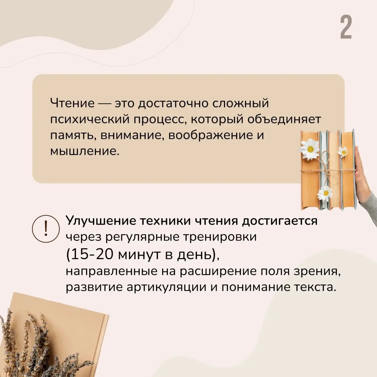 📖 Чтение — вот лучшее учение: как помочь ребёнку полюбить книги и повысить успеваемость  Каждый роди