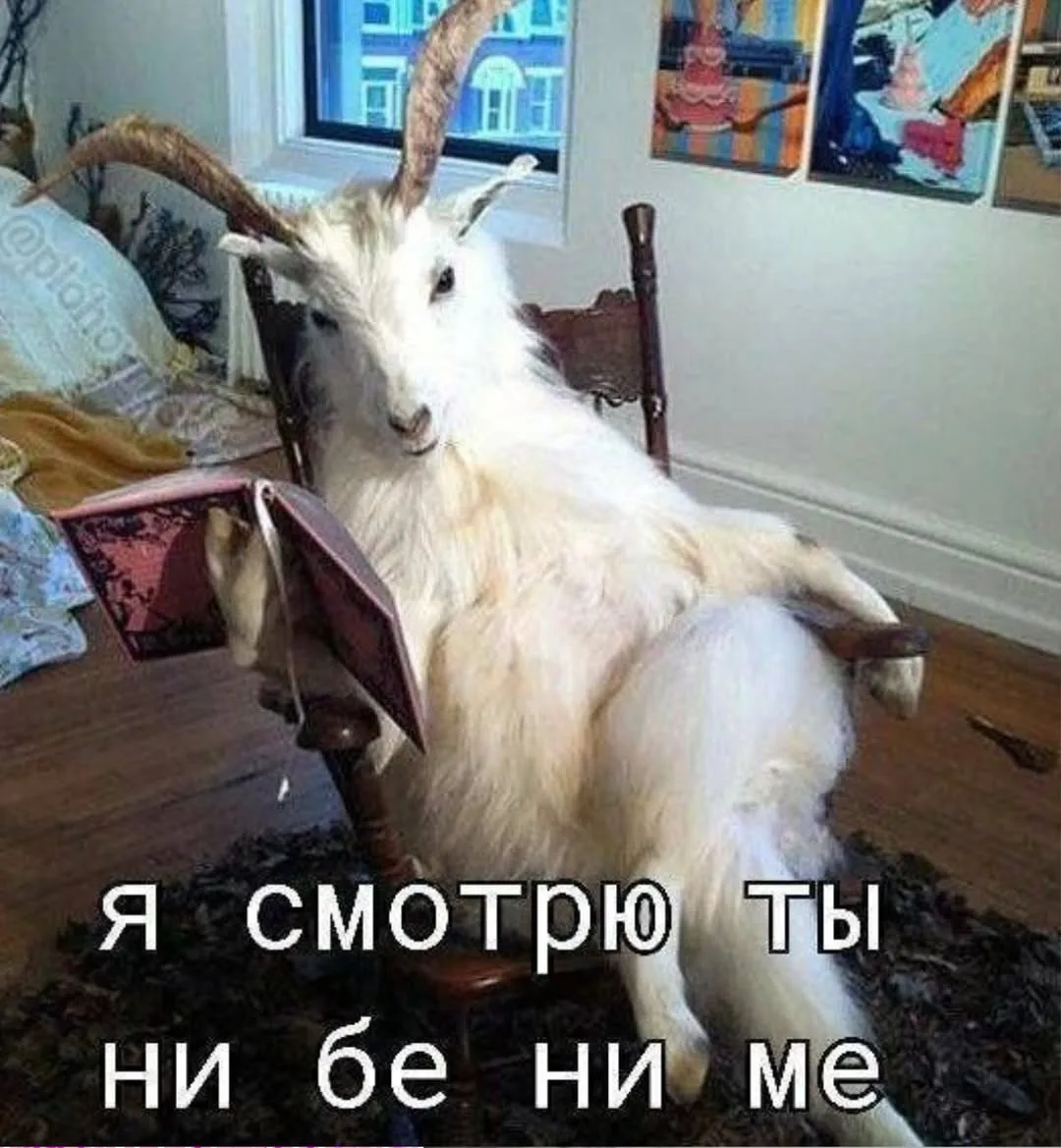 В чём прикол сидеть на даче, жарить шашлык и пить квас?