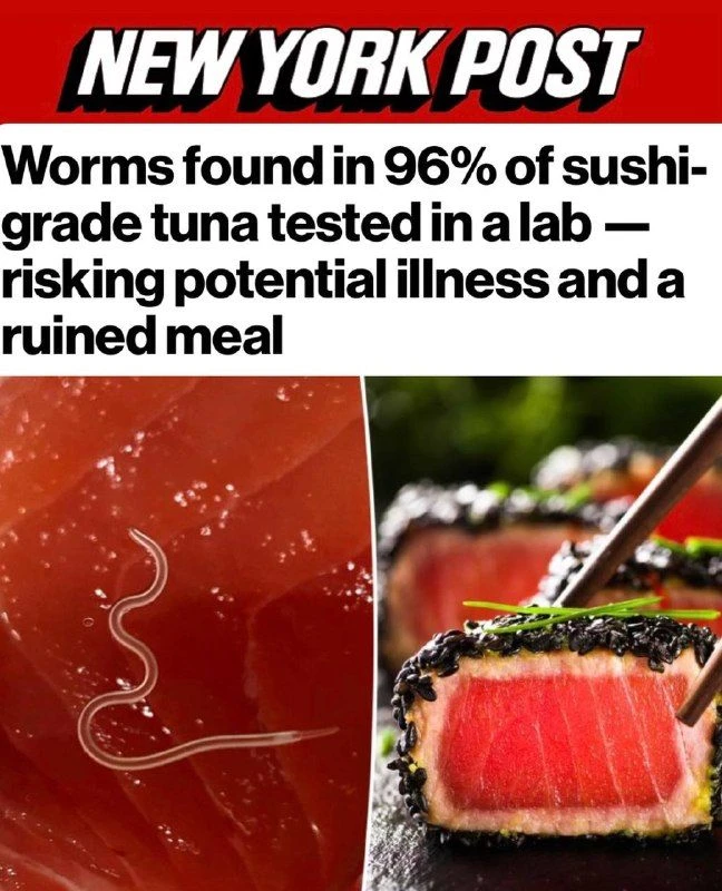 Ваш любимый тунец может быть «живым» в буквальном смысле. 🐟