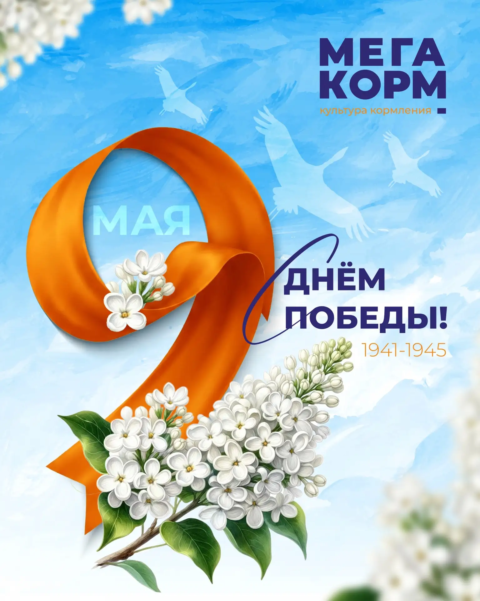 Дорогие друзья!