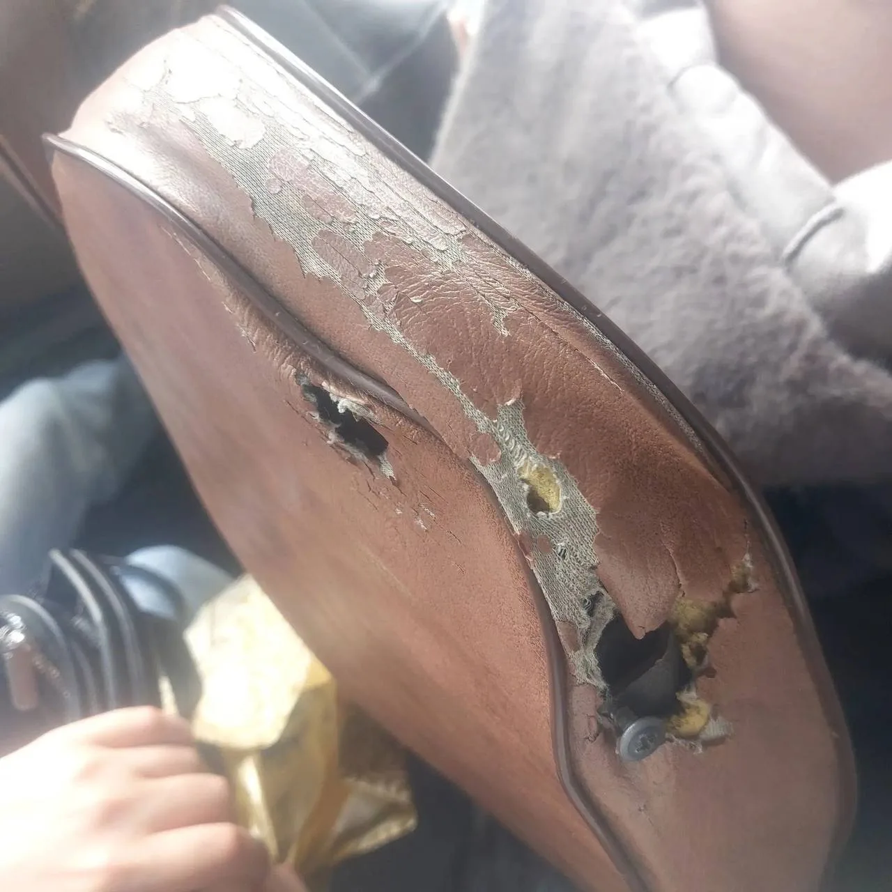 🚌 Пассажиры пожаловались на давку в автобусе №102 Семилуки — Воронеж.
