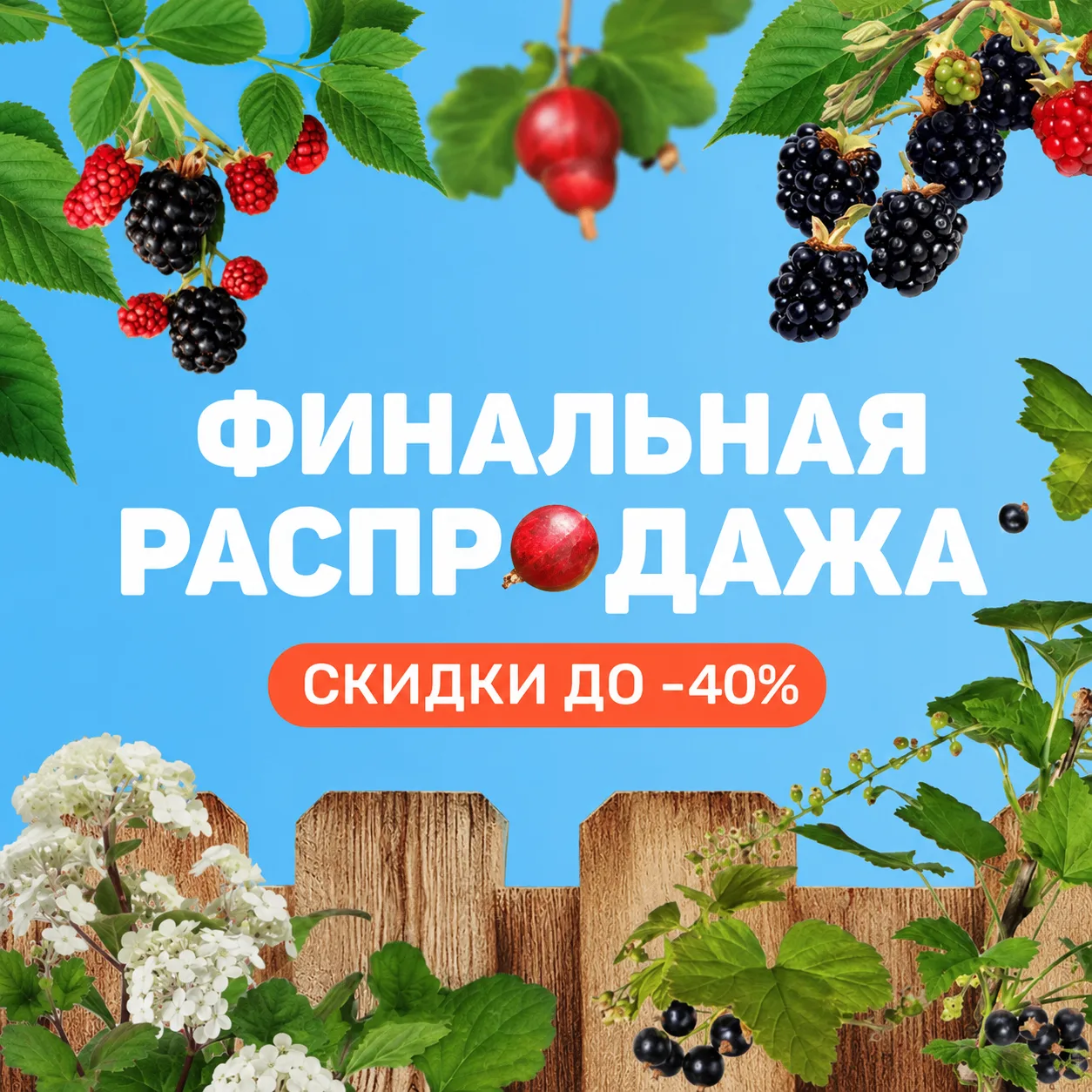 🚀 ФИНАЛКА! Semena.ru: скидки до 40%