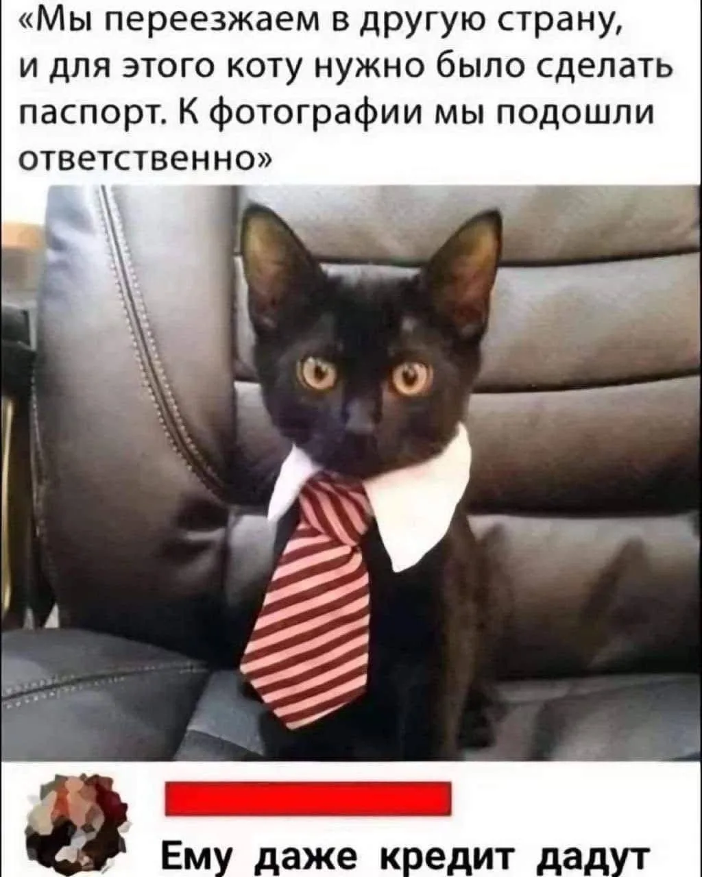 😂😂😂

Улыбнись | Юмор
😁Подписаться